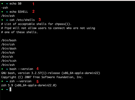 screenshot ejemplos comandos shell comentados en el post